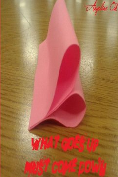 Cover What Goes Up Must Come Down