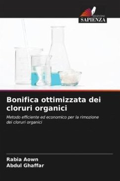 Bonifica ottimizzata dei cloruri organici - Aown, Rabia;Ghaffar, Abdul