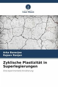 Zyklische Plastizität in Superlegierungen - Banerjee, Arka;Ranjan, Rajeev