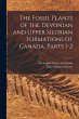 The Fossil Plants of the Devonian and... - Bild 1