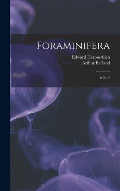 Cover Foraminifera: 6 no 2