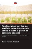 Régénération in vitro de variétés sélectionnées de canne à sucre à partir de bouts de pousses