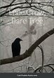 Lone Crow, Bare Tree - Bild 1