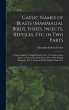 Gaelic Names of Beasts (Mammalia),... - Bild 1