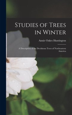 Studies of Trees in Winter - Huntington, Annie Oakes