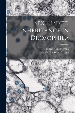 Cover Sex-Linked Inheritance in Drosophila