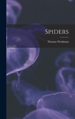 Cover Spiders