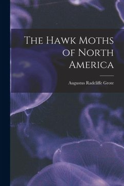 The Hawk Moths of North America - Grote, Augustus Radcliffe