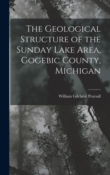 The Geological Structure of the Sunday Lake Area, Gogebic County, Michigan The Geological Structure of the Sunday Lake Area, Gogebic County, Michigan