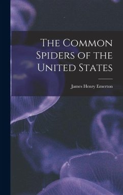 Cover The Common Spiders of the United States