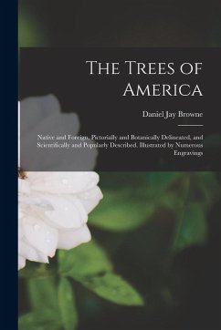 Cover The Trees of America: Native and Foreign, Pictorially and Botanically Delineated, and Scientifically and Popularly Described. Illustrated by