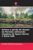 Estima a perda do dossel da floresta utilizando imagens de Space Borne C Band SAR