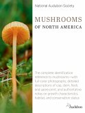 National Audubon Society Mushrooms of North America