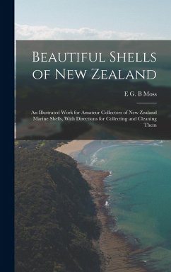 Cover Beautiful Shells of New Zealand