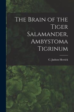 The Brain of the Tiger Salamander, Ambystoma Tigrinum - Herrick, C. Judson