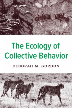 The Ecology of Collective Behavior - Gordon, Deborah M