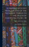 A History of Egypt From the End of the Neolithic Period to the Death of Cleopatra Vii, B.C. 30: Egypt Under Rameses the Great