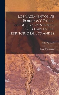 Los Yacimientos De Boratos Y Otros Porductos Minerales Explotables Del Territorio De Los Andes - Reichert, Fritz