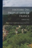 Histoire Des Protestants De France: Depuis L'origine De La Réformation Jusqu'au Temps Présent