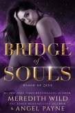 Bridge of Souls (eBook, ePUB)