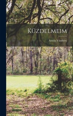 Cover Küzdelmeim