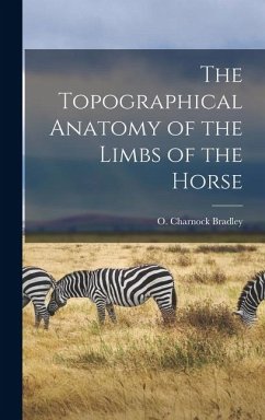 Cover The Topographical Anatomy of the Limbs of the Horse