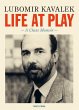 Life at Play (eBook, ePUB) - Bild 1