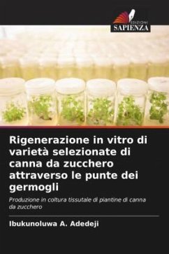 Rigenerazione in vitro di varietà selezionate di canna da zucchero attraverso le punte dei germogli - Adedeji, Ibukunoluwa A.