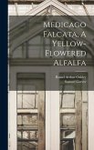 Medicago Falcata, A Yellow-flowered Alfalfa