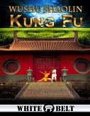 Wushu Shaolin Kung Fu