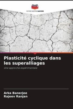 Plasticité cyclique dans les superalliages - Banerjee, Arka;Ranjan, Rajeev