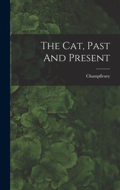 Cover The Cat, Past And Present