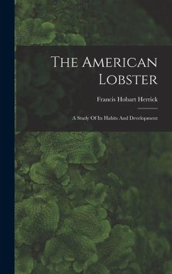 Cover The American Lobster: A Study Of Its Habits And Development