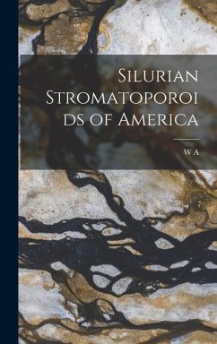 Silurian Stromatoporoids of America - Parks, W. A.