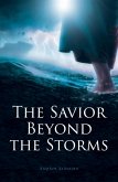 The Savior Beyond the Storms (eBook, ePUB)