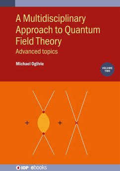 Cover A Multidisciplinary Approach to Quantum Field Theory, Volume 2 (eBook, ePUB)