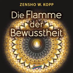 Die Flamme der Bewusstheit - Kopp, Zensho W.