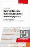 Kommentar zum Bundesausbildungsförderungsgesetz (eBook, PDF)