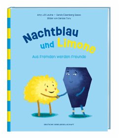 Nachtblau und Limone. Aus Fremden werden Freunde. Mit Nächstenliebe Vorurteile überwinden. Christliche Kindergeschichte über Hilfsbereitschaft. Bilderbuch zum Vorlesen ab 5 Jahren. - Levine, Amy-Jill;Sasso, Sandy E.