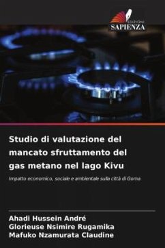 Cover Studio di valutazione del mancato sfruttamento del gas metano nel lago Kivu