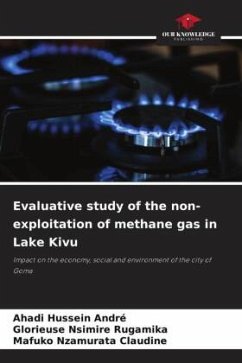Cover Evaluative study of the non-exploitation of methane gas in Lake Kivu