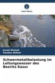 Schwermetallbelastung im Leitungswasser des Bezirks Kasur