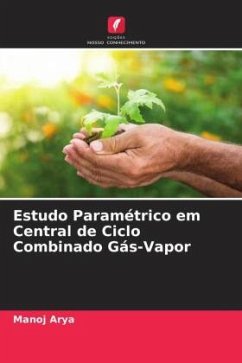 Estudo Paramétrico em Central de Ciclo Combinado Gás-Vapor - Arya, Manoj