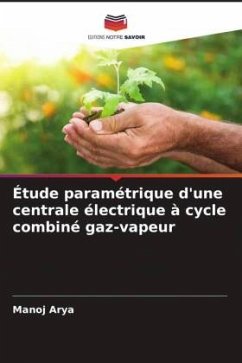 Étude paramétrique d'une centrale électrique à cycle combiné gaz-vapeur - Arya, Manoj