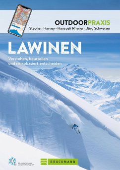 Lawinen (eBook, ePUB) - Harvey, Stephan; Rhyner, Hansueli; Schweizer, Jürg