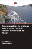 Contamination de métaux lourds dans l'eau du robinet du district de Kasur