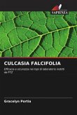 CULCASIA FALCIFOLIA