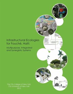 Cover Infrastructural Ecologies for Fouché, Haiti