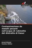 Contaminazione da metalli pesanti nell'acqua di rubinetto del distretto di Kasur