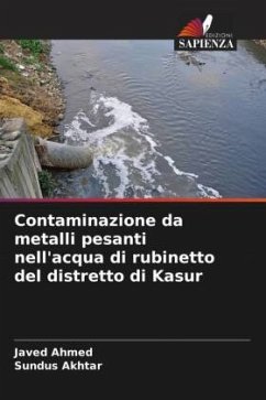 Contaminazione da metalli pesanti nell'acqua di rubinetto del distretto di Kasur - Ahmed, Javed;Akhtar, Sundus